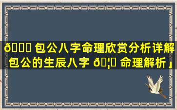 💐 包公八字命理欣赏分析详解「包公的生辰八字 🦅 命理解析」